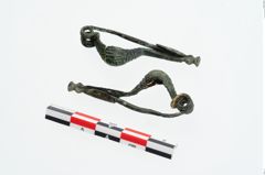 Foto von Bronzepaukenfibel (NHMW-PRAE-025985)